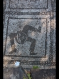 01172 ostia - regio ii - terme delle province - mosaik - ostseite - detail - 8. reihe pos 1 - sizilien - 2017.jpg